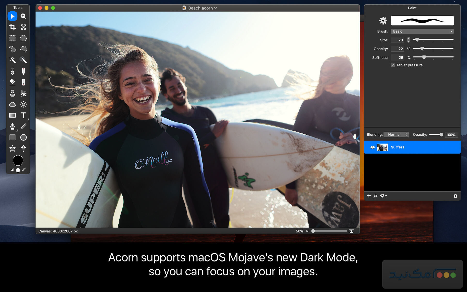Acorn - اسکرین شات 1