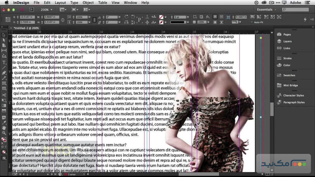 Adobe InDesign - اسکرین شات 2