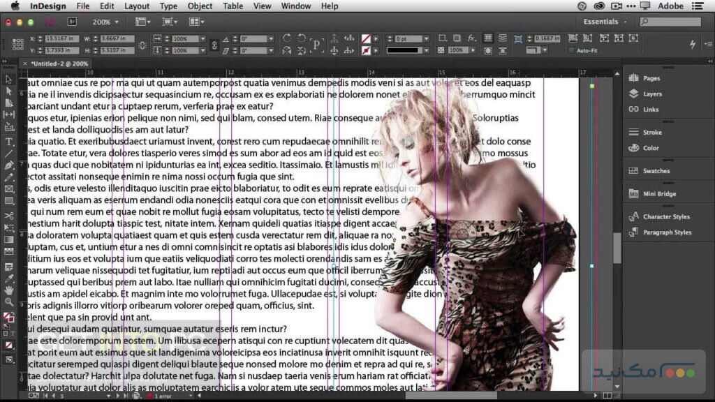 Adobe InDesign - اسکرین شات 2