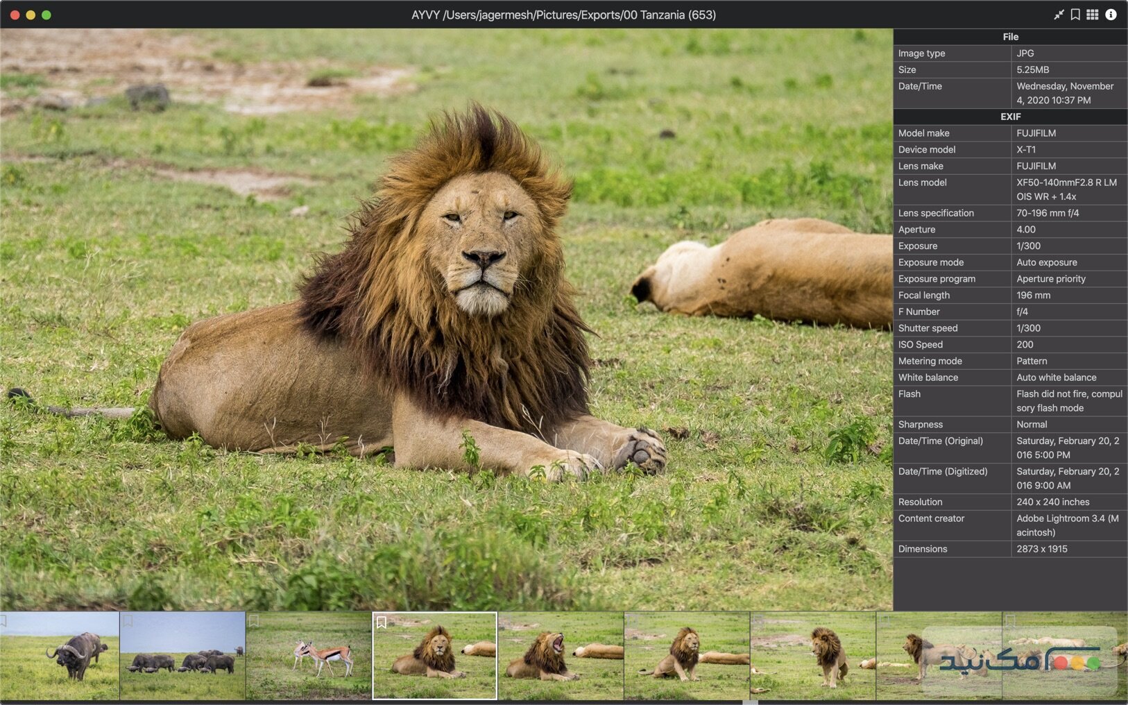 AYVY 1.20.0 - اسکرین شات 1