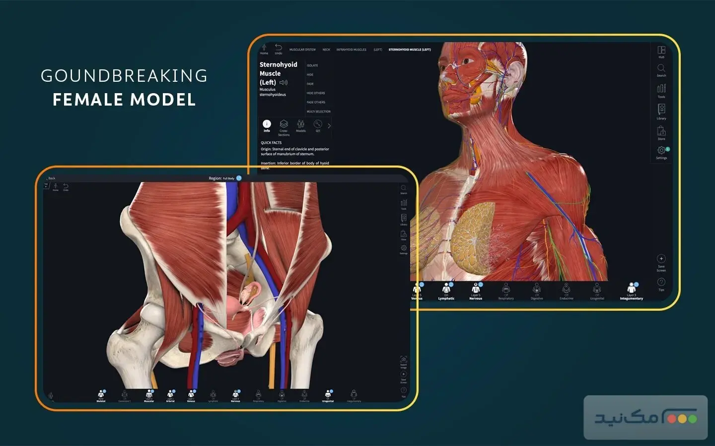 Complete Anatomy - اسکرین شات 1