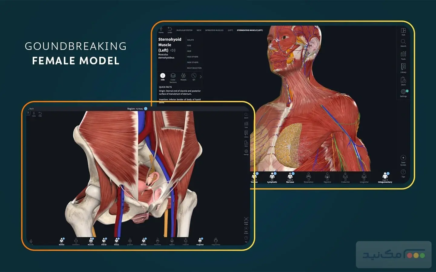 Complete Anatomy - اسکرین شات 1