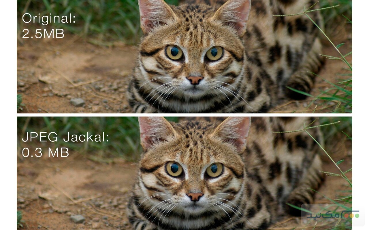 JPEG Jackal Pro - اسکرین شات 1