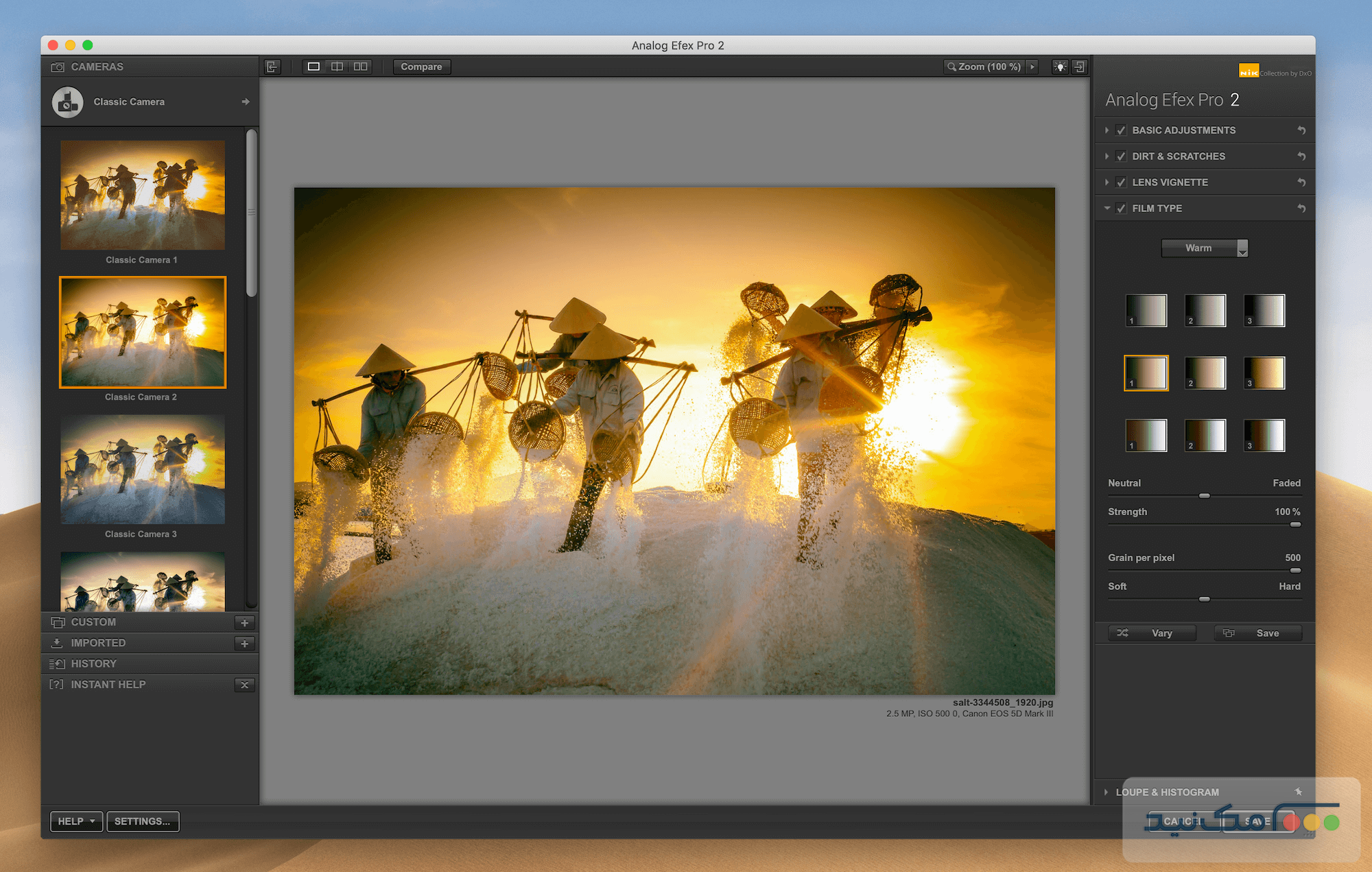 Nik Collection by DxO - اسکرین شات 1